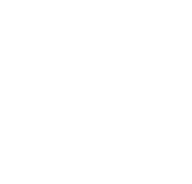 Fernandes Group